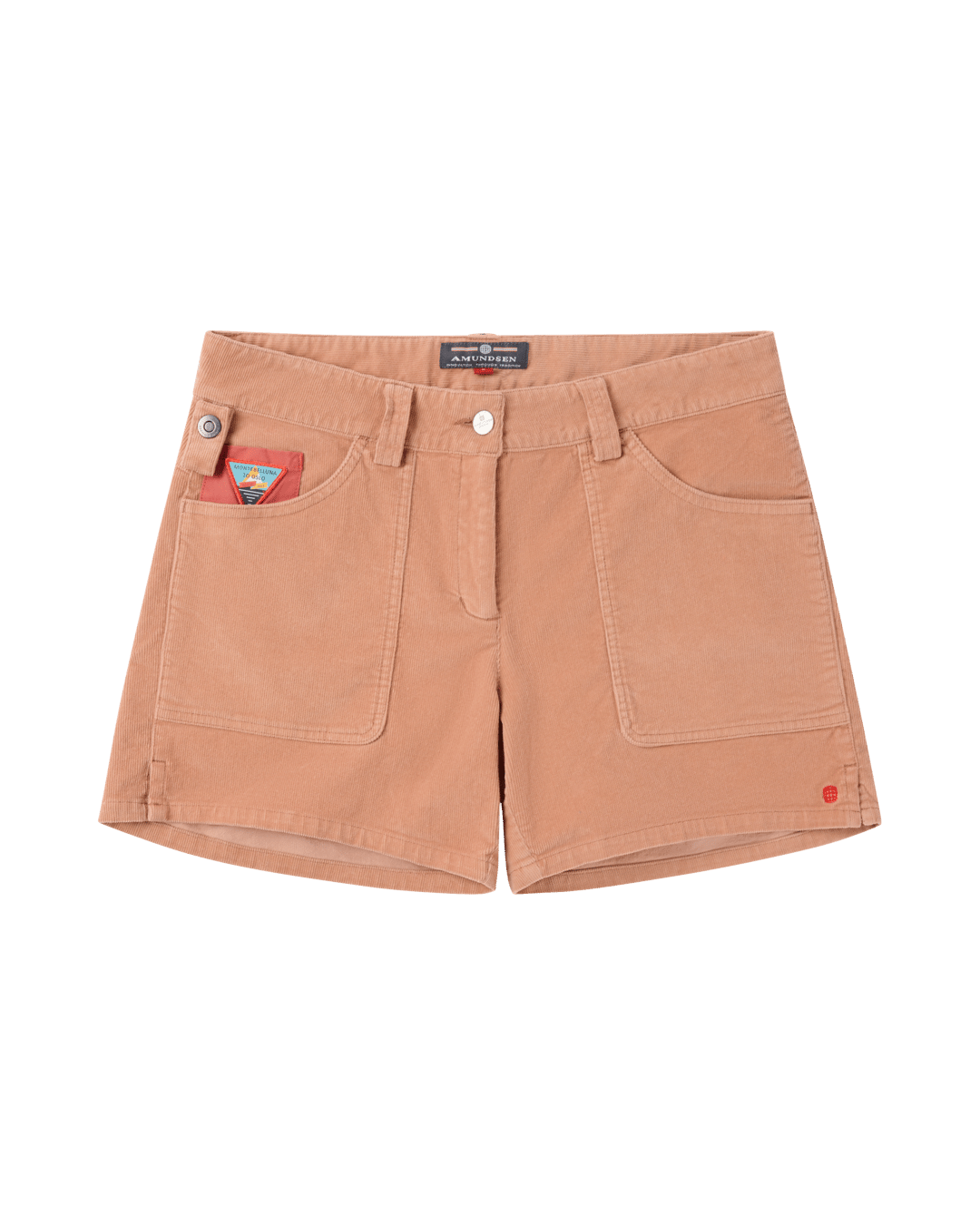 Apricot WSS60.1.181