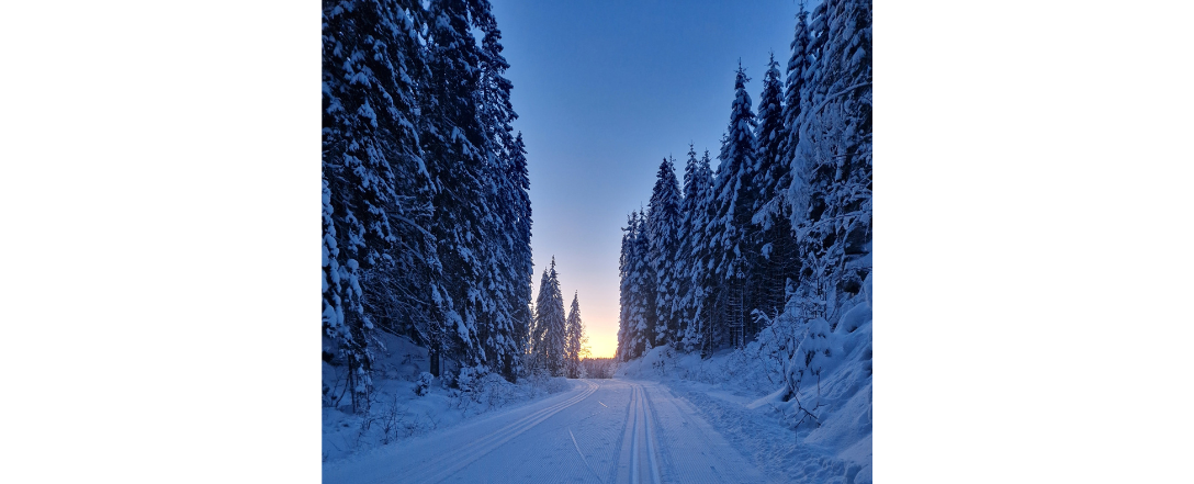 Design uten navn (16).png