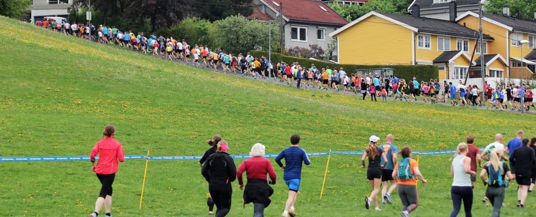 Grefsenkollen Opp_1088x441.png