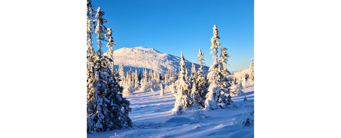 Vinter_1088x441.png