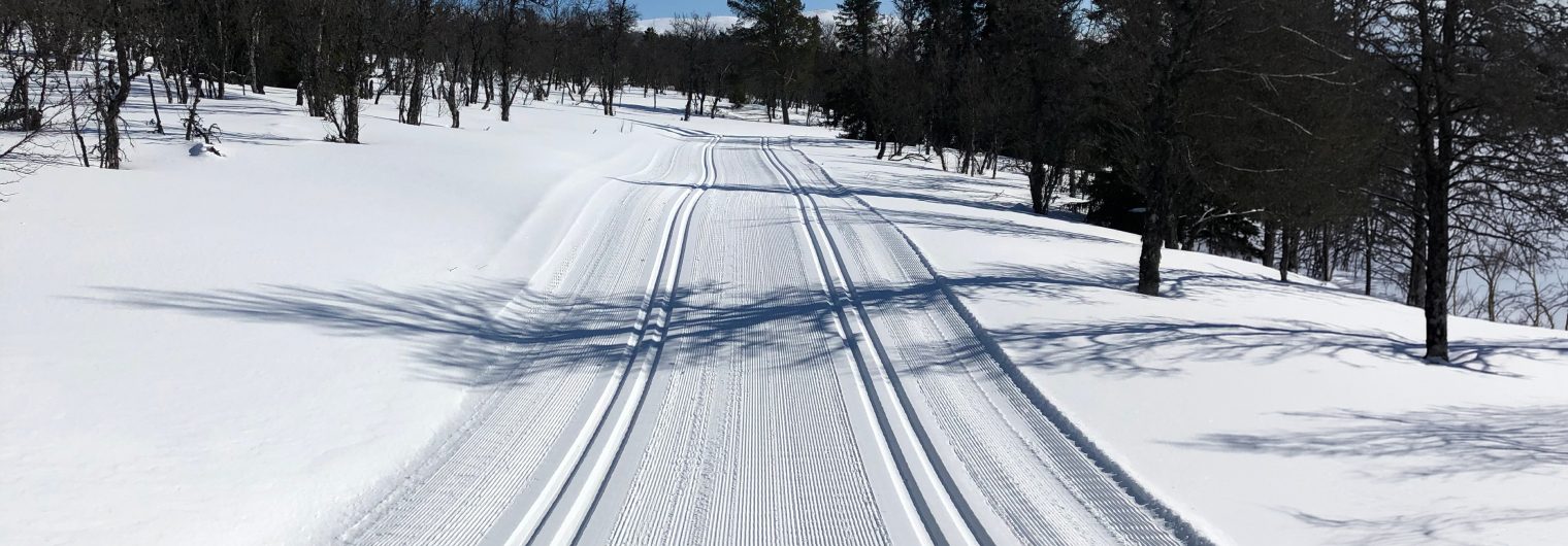 Preparert skispor i skogen en solrik vinterdag