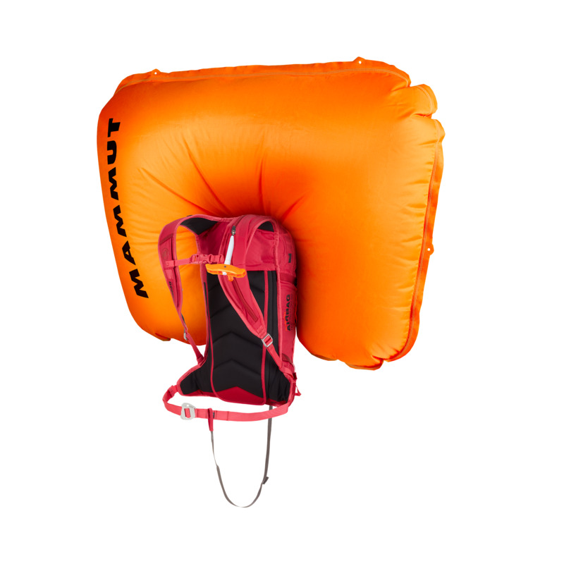 Dragon Fruit-Scooter: 2610-01730-3559