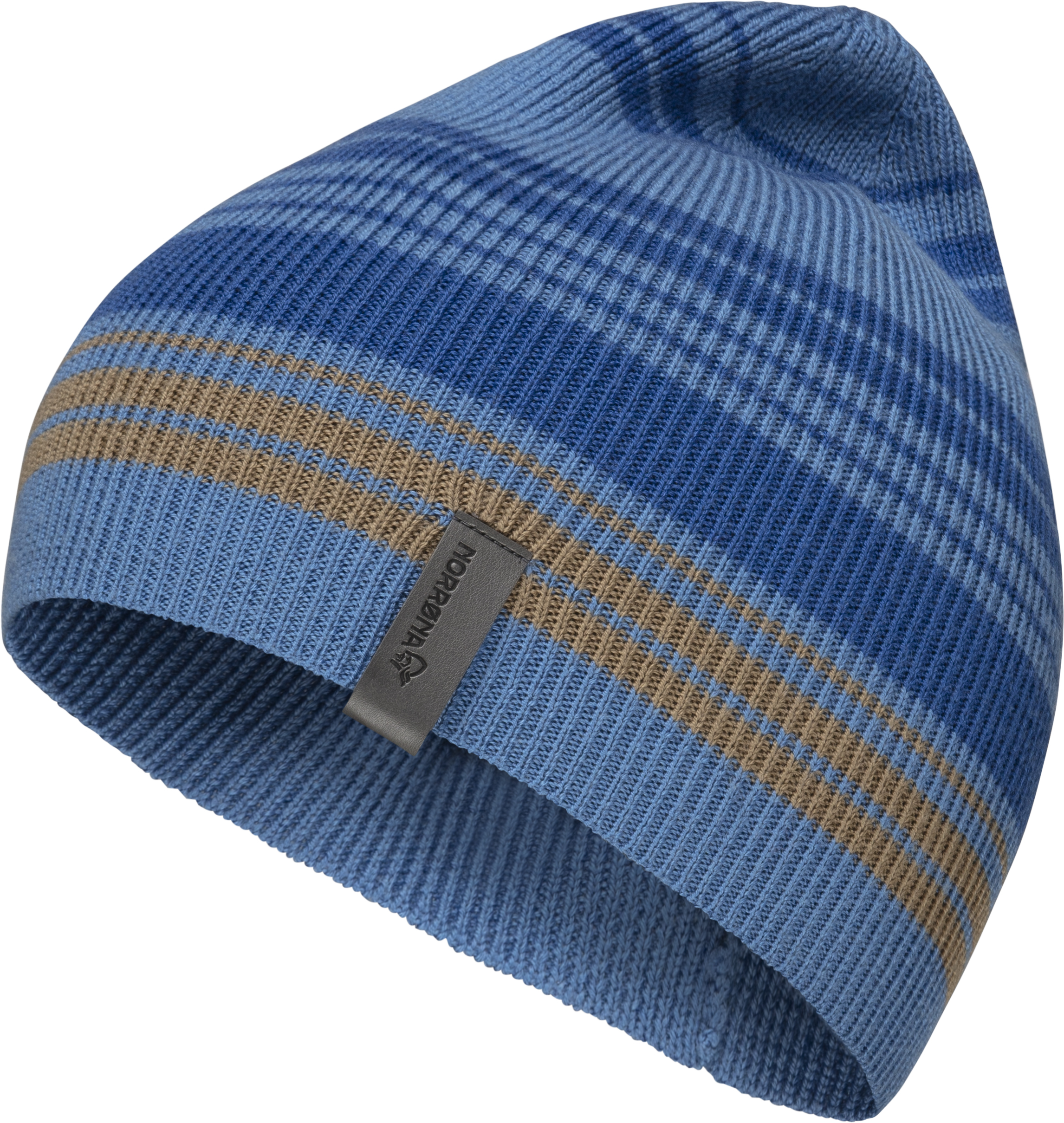 Campanula 1469-16 6601