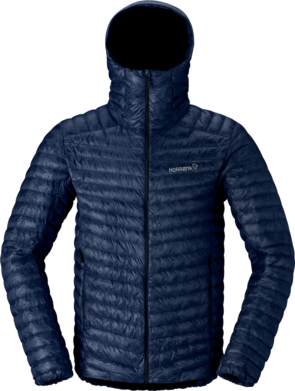 Indigo Night 1614-24 2295