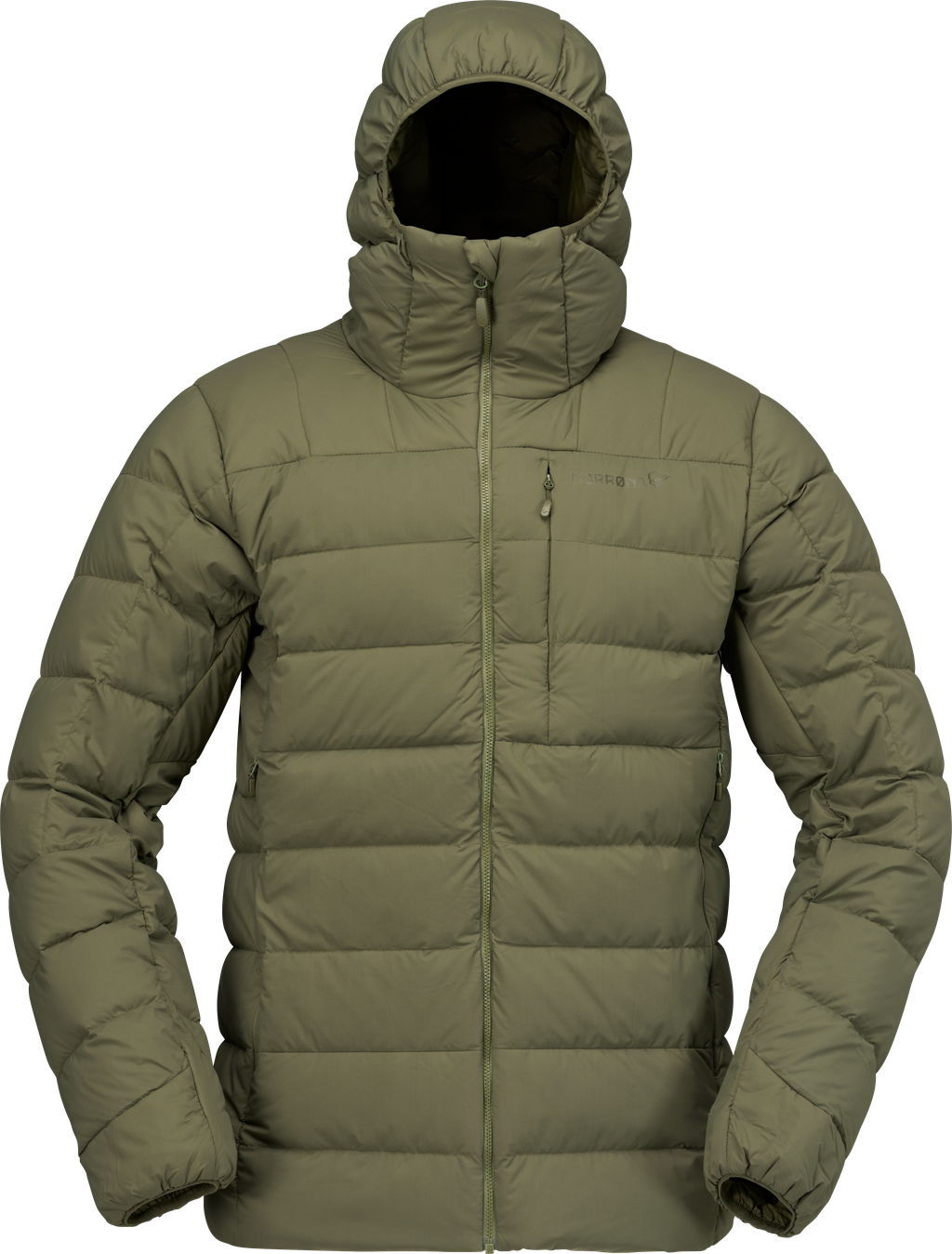 Olive Night 2650-25 3301