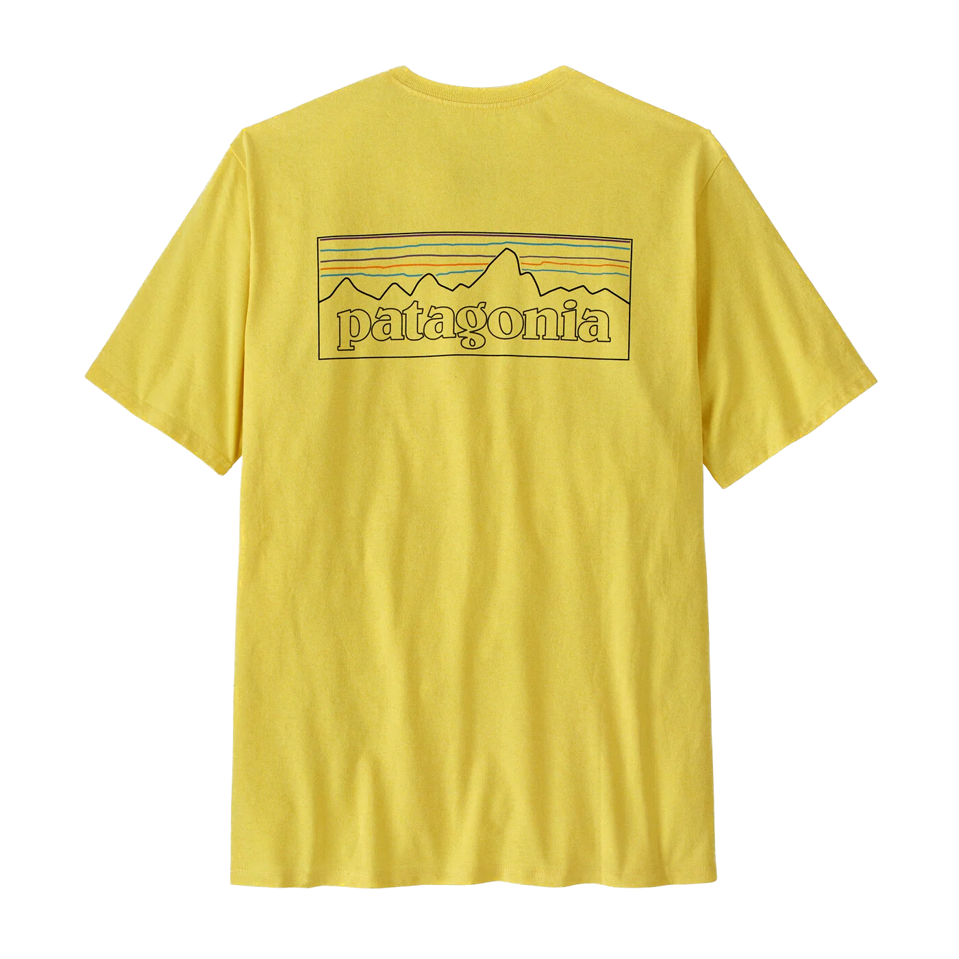 P-6 Outline: Lemon Zes P38504_POLM