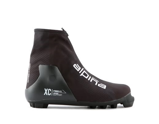 Alpina Action Classic skisko