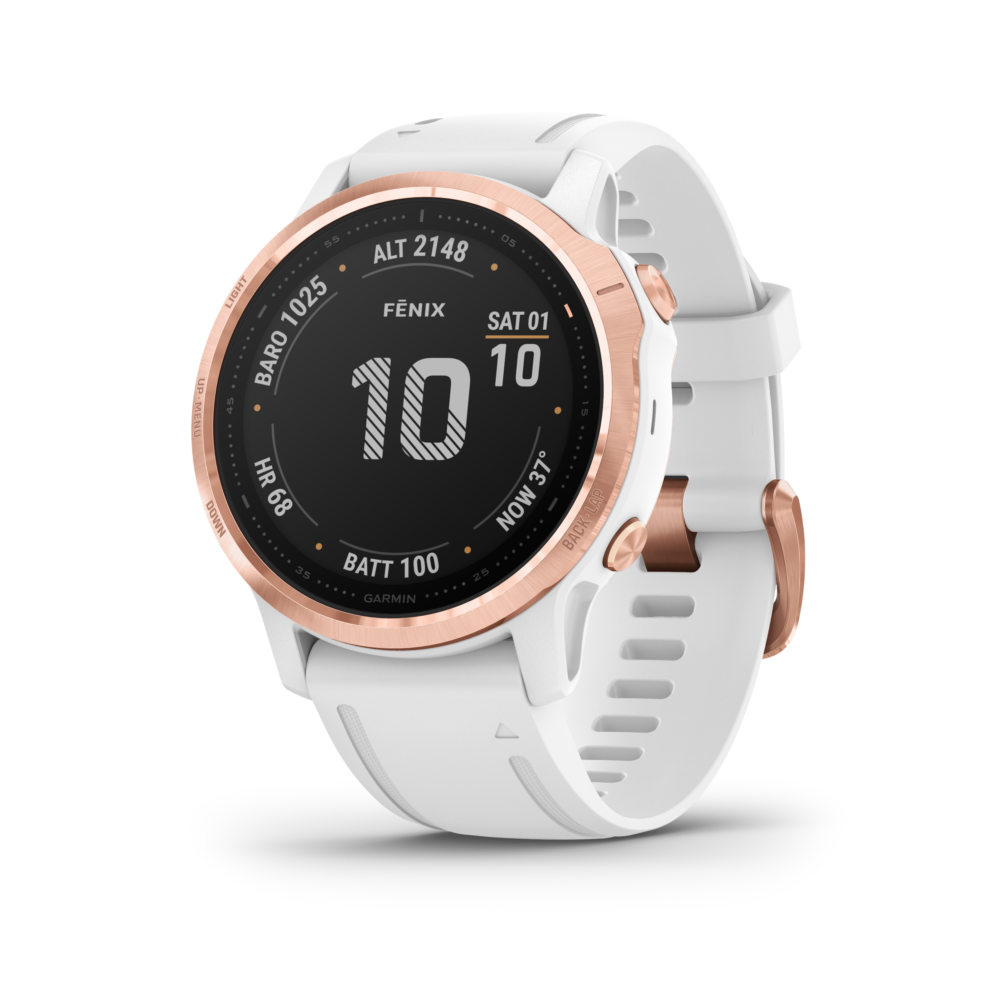 Rose Gold w/White Band (010-02159-11)