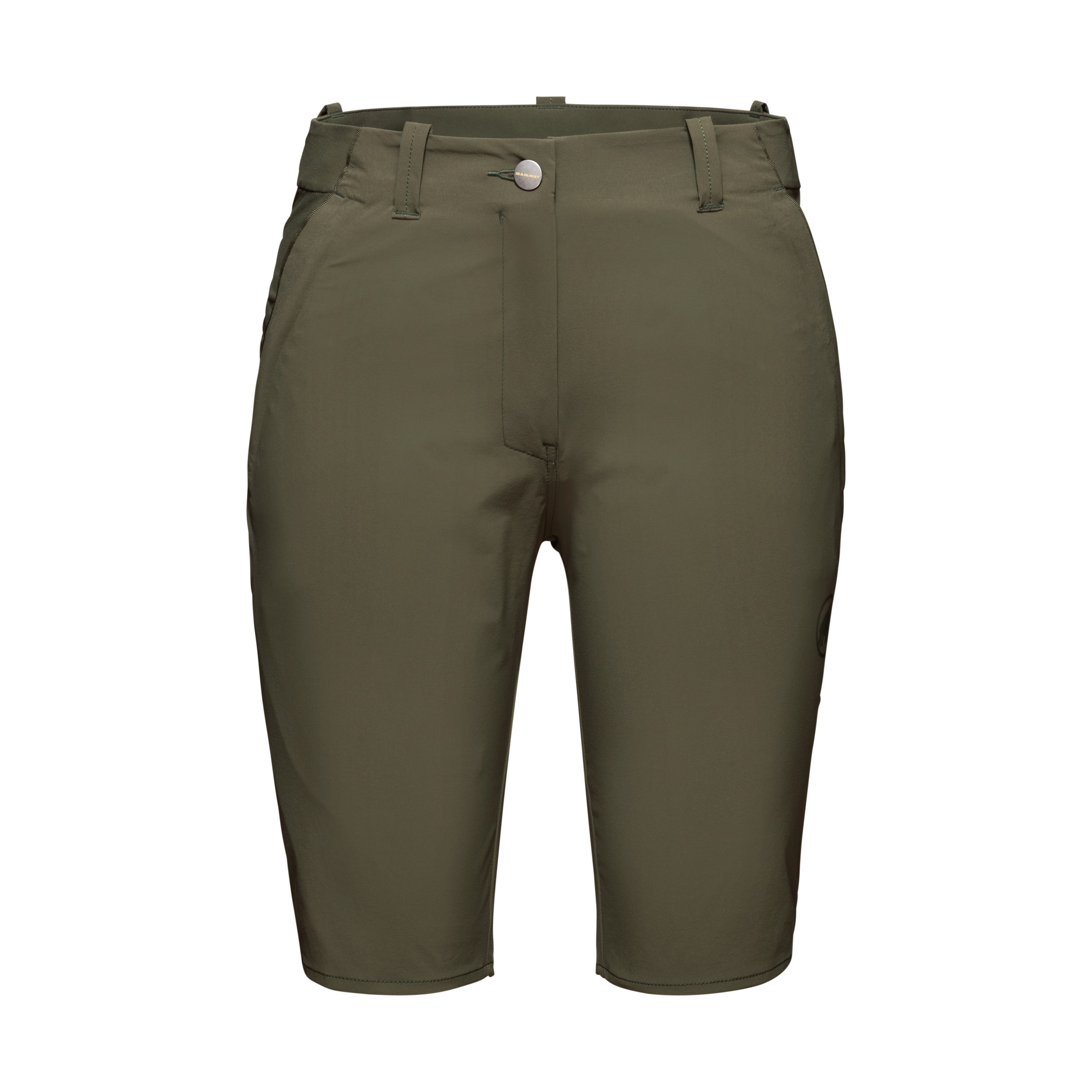 Iguana 1023-00180-4584