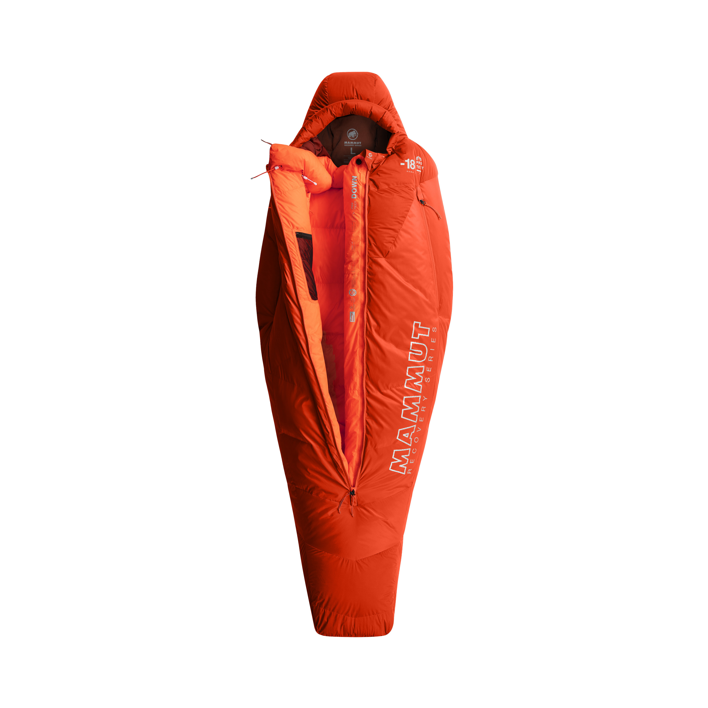 Safety Orange: 2410-02600-2196