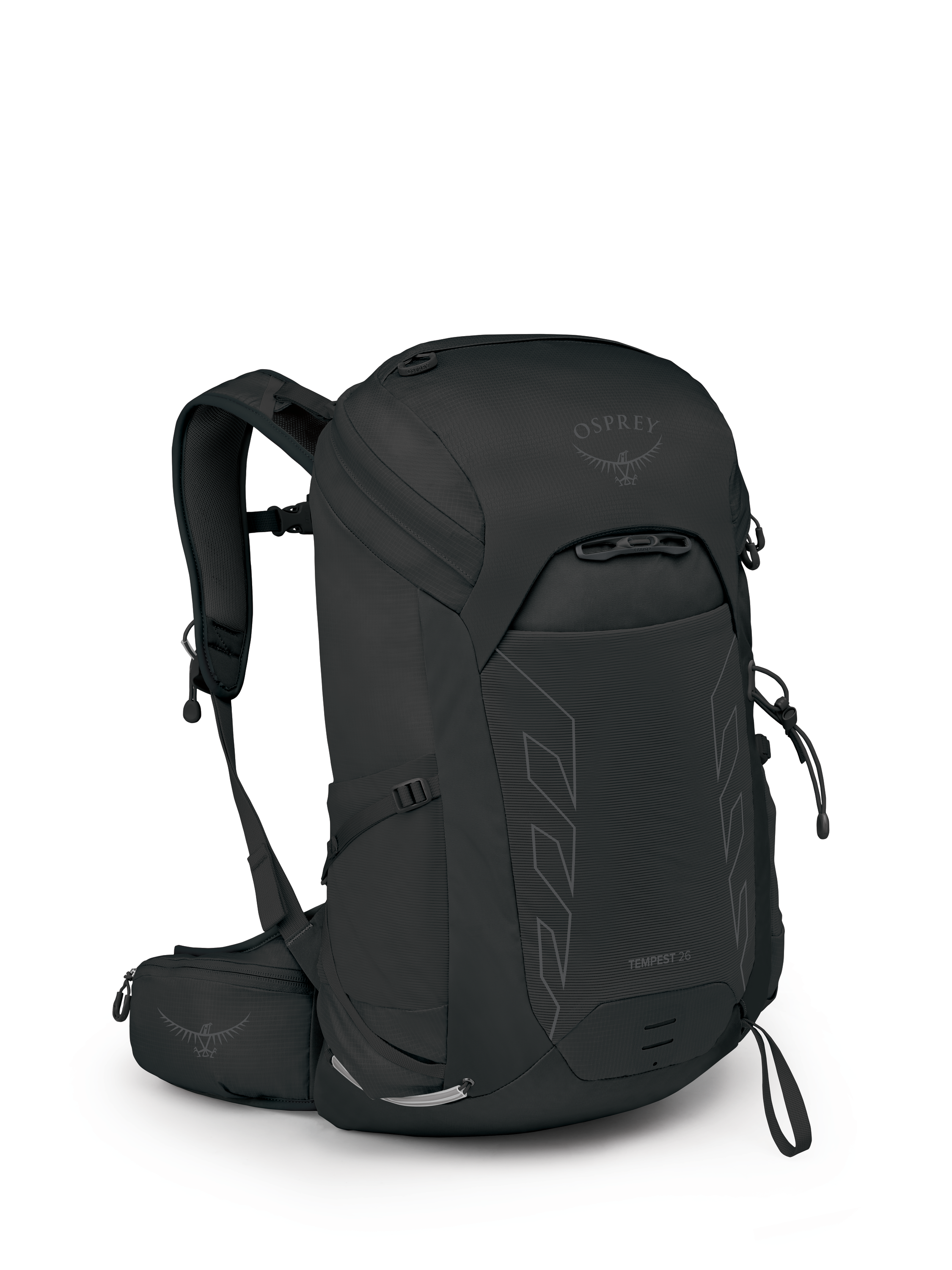 Black Coal Grey