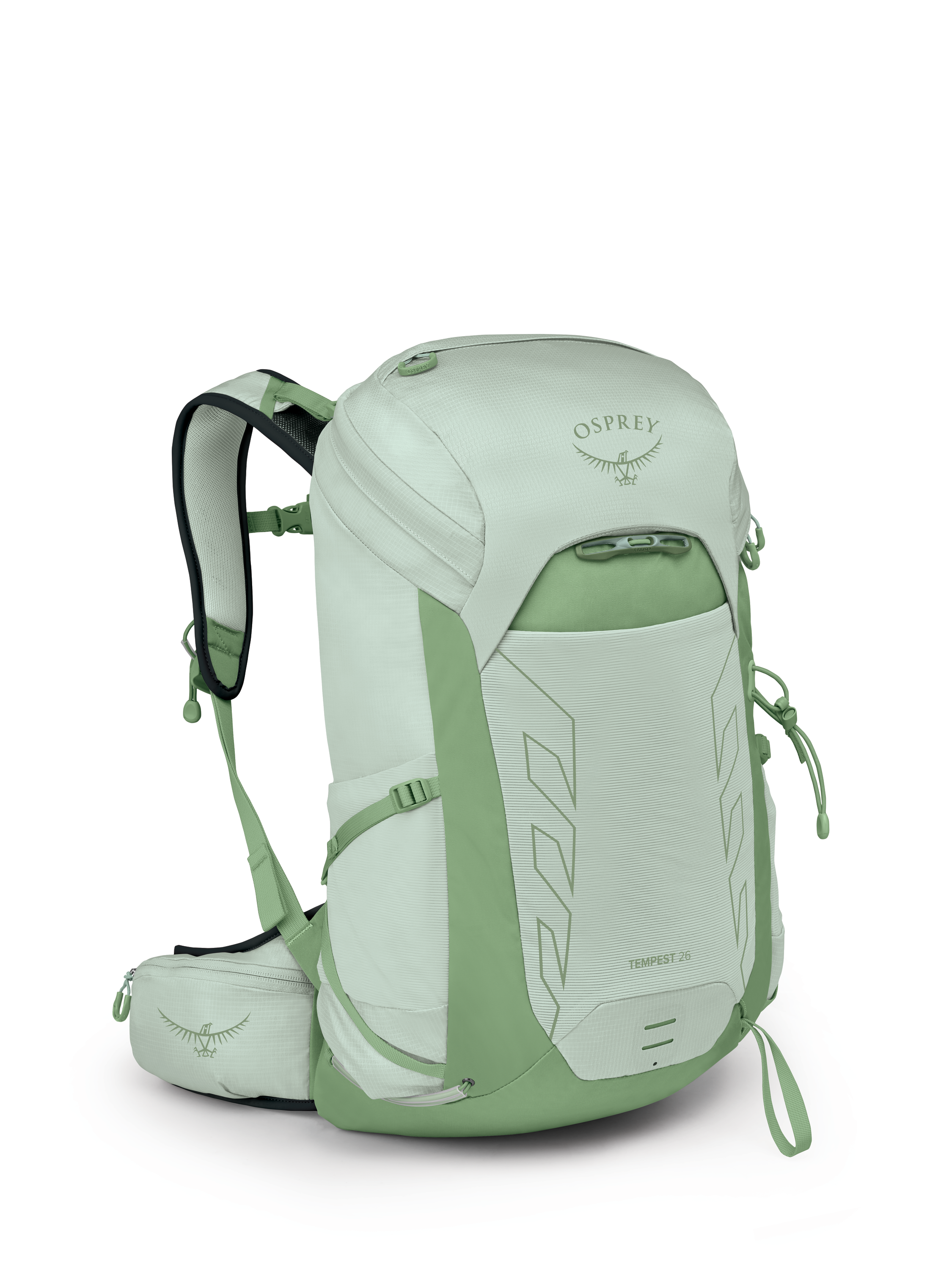 Frosty Mint Green Botanica