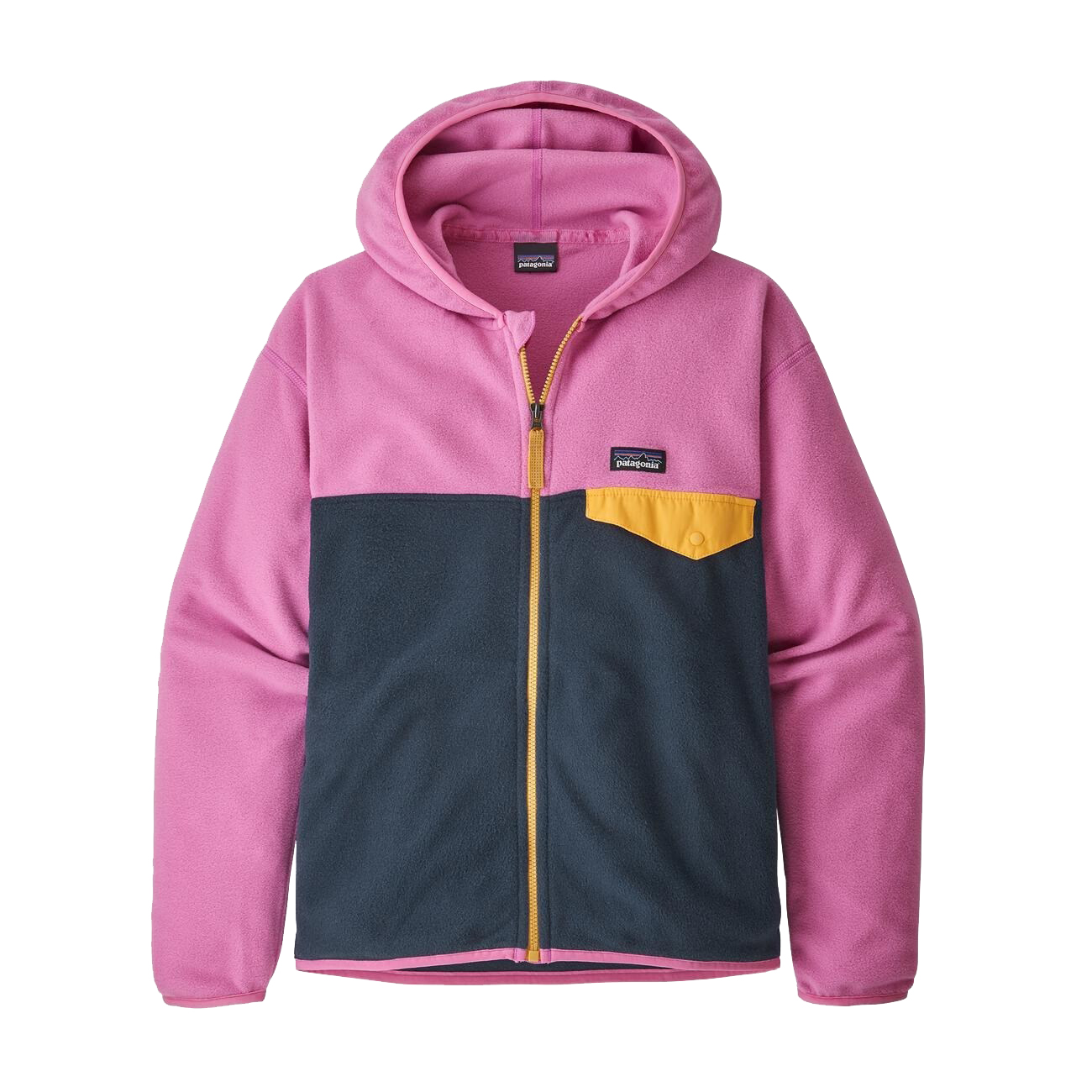 Patagonia Micro D Snap-T Jacket 