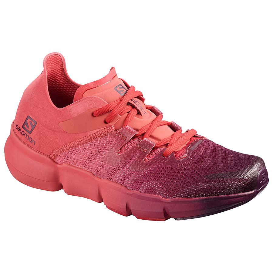 Potent Pur/Garnet Rose (L40920100)