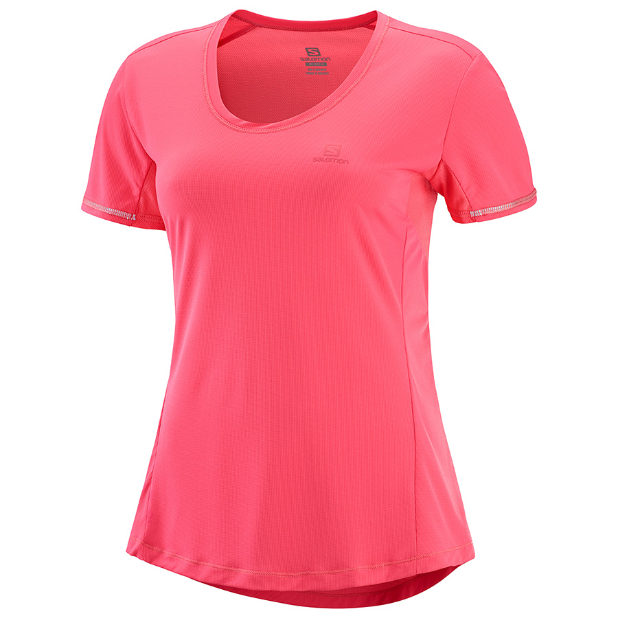 Calypso/Coral (LC1159300)