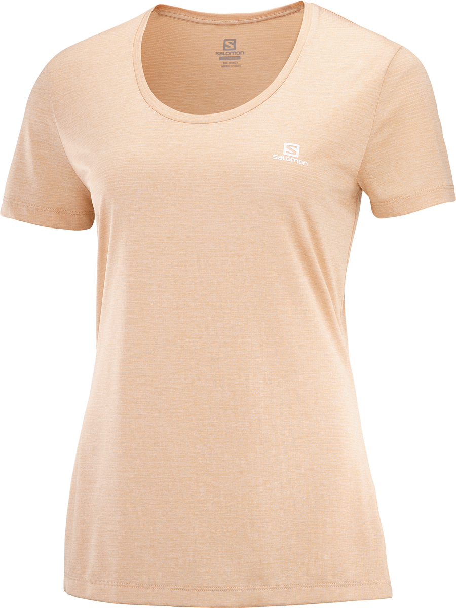 Sirocco/Heather/SHELL LC1608600