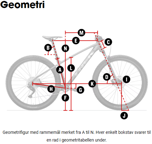 Geometritabell-Figur-Marlin-4.png