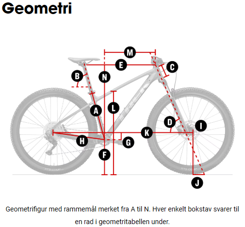 Geometritabell-Figur-Marlin-7.png